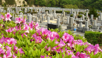 枚方市の自然に溢れた公園墓地